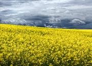Rinnovabili e Altre Fonti di Energia - Efficienza