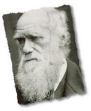 Charles Darwin