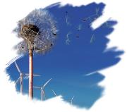 Rinnovabili e Altre Fonti di Energia - Efficienza
