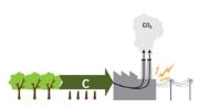 Rinnovabili e Altre Fonti di Energia - Efficienza