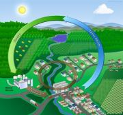 Rinnovabili e Altre Fonti di Energia - Efficienza