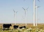 Rinnovabili e Altre Fonti di Energia - Efficienza