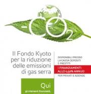 Rinnovabili e Altre Fonti di Energia - Efficienza