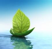 Rinnovabili e Altre Fonti di Energia - Efficienza