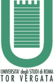 Studi e Segnalazioni