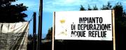 Politiche