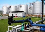 Consumi Petroliferi ed Elettrici