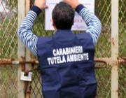Politiche
