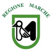 Società e Associazioni