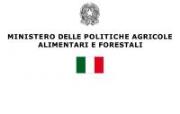 Politiche