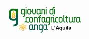 Infrastrutture e Investimenti