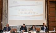 Rinnovabili e Altre Fonti di Energia - Efficienza