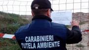 Politiche