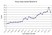 Rinnovabili e Altre Fonti di Energia - Efficienza