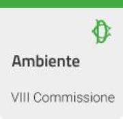 Politiche