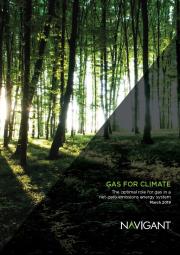 Gas Naturale - GPL - GNL