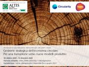 Studi e Segnalazioni