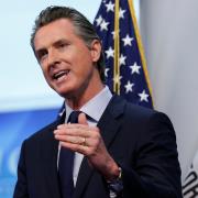 Gavin Newsom 