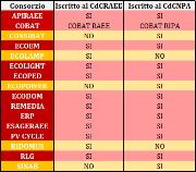 I Sistemi Collettivi Raee-Ripa nel 2019