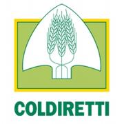 Infrastrutture e Investimenti