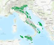 Leggi e Atti Amministrativi