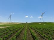 Rinnovabili e Altre Fonti di Energia - Efficienza