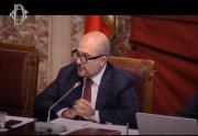 Attività Parlamentare