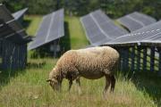 Rinnovabili e Altre Fonti di Energia - Efficienza