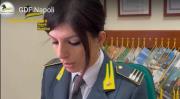 Leggi e Atti Amministrativi