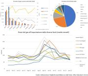 Gas Naturale - GPL - GNL