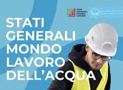 Studi e Segnalazioni
