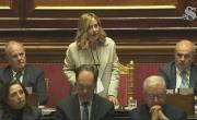 Attività Parlamentare