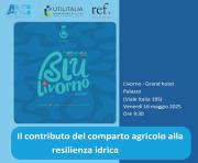 Studi e Segnalazioni