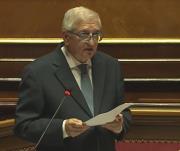Attività Parlamentare