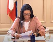 Attività Parlamentare