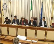 Attività Parlamentare