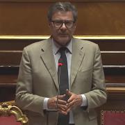 Giorgetti oggi in Senato
