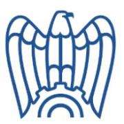 Politica energetica nazionale