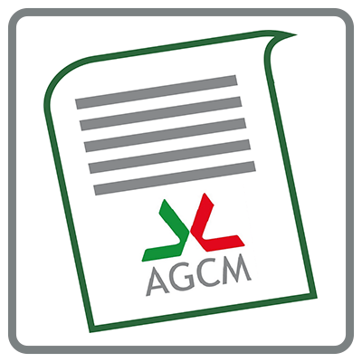 Auto elettriche: Antitrust accoglie impegni di Byd, Stellantis, Tesla e Volkswagen