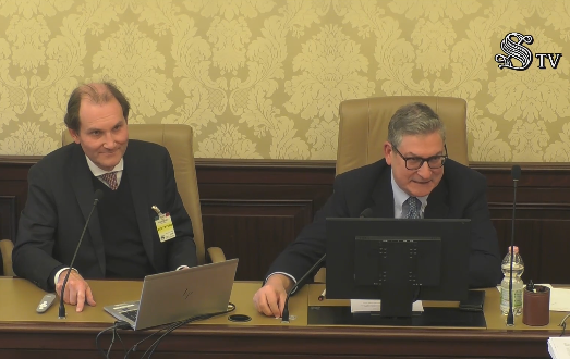 Autoproduzione e accumuli, il dibattito in Senato